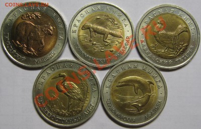 КРАСНАЯ КНИГА 1993 до 26 июля 22-00 - IMG_5525