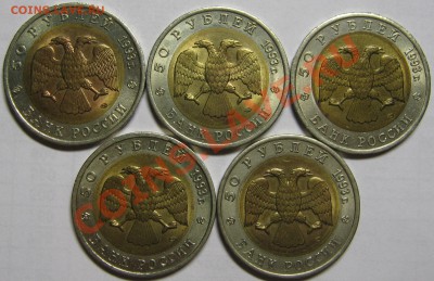 КРАСНАЯ КНИГА 1993 до 26 июля 22-00 - IMG_5527