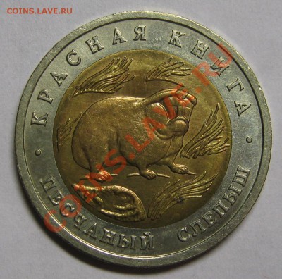 ПЕСЧАНЫЙ СЛЕПЫШ красная книга 1994  до 26 июля 22-00 - IMG_5528