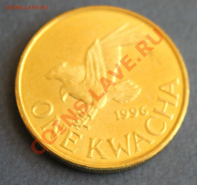 МАЛАВИ 1 квача 1996г. ОРЁЛ до 30.07.2013г. в 22-00 - IMG_6928.JPG