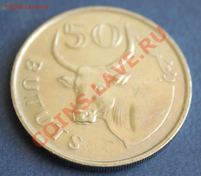 ГАМБИЯ 50 бутус 1998г. КОРОВА  до 30.07.2013г. в 22-00 - IMG_6926.JPG