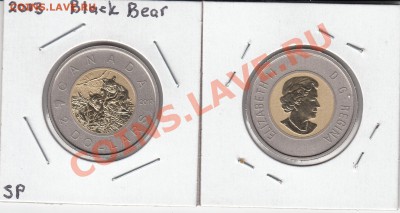 Животные на монетах - bearcubs