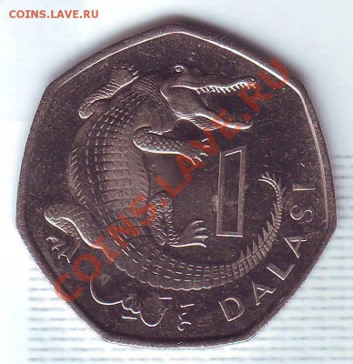 Гамбия.Даласи.1998.Крокодил. до 30 Июля - 19980049.JPG