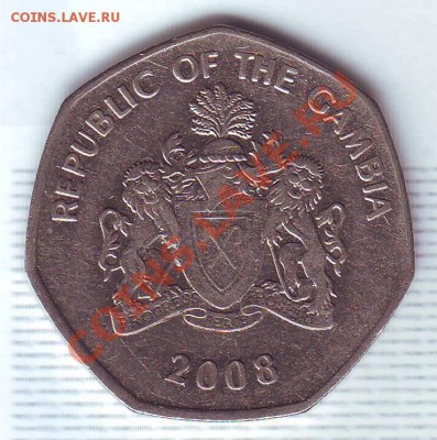 Гамбия.1 Даласи.2008.Крокодил. до 30 Июля - 2008..JPG