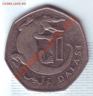 Гамбия.1 Даласи.2008.Крокодил. до 30 Июля - 2008.0001.JPG