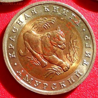 КРАСНАЯ КНИГА 1992 Тигр Амурский до 28 июля 22-00 - 1992-2