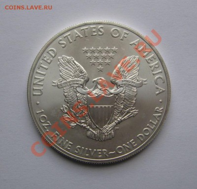 Доллар "Шагающая Свобода" 2013 США ag 999 31,1г до 30.07.13 - IMG_4676.JPG