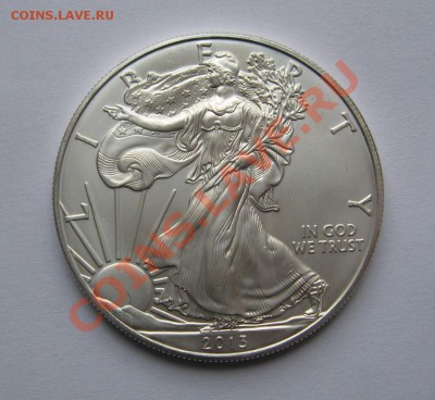 Доллар "Шагающая Свобода" 2013 США ag 999 31,1г до 30.07.13 - IMG_4679.JPG