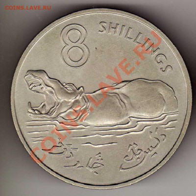 ГАМБИЯ 8 ШИЛЛИНГОВ 1970 БЕГЕМОТ 01.08.13 В 22.00МСК (6066) - img038