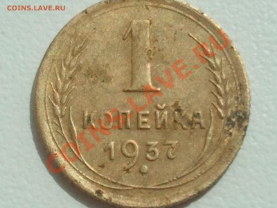 1 копейка 1954, 1940, 1956, 1957, 1937, 1946, 1931 - 2013-07-27 12.44.05
