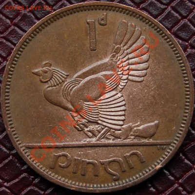 ИРЛАНДИЯ - 1 пенни 1968 - Курочка - до 2 августа - 467