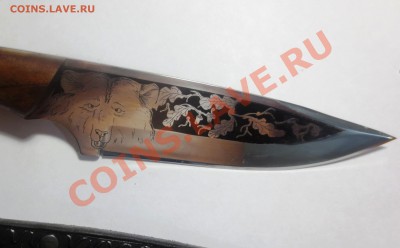 Нож "Клык" (сталь, орех) - IMG_3557.JPG