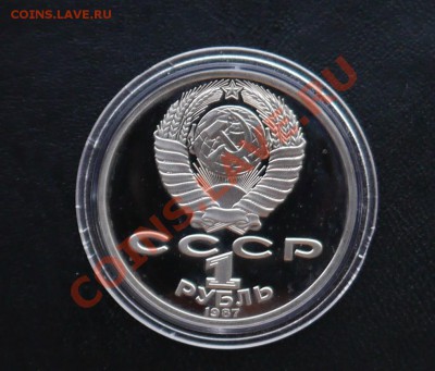 Циолковский Пруф до 2.08 22:40 Мск - P1020177.JPG