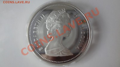 Ag! Доллар Канада Молотобойцы Пруф. 1988г До 1.08.13г 22.30м - DSC06027.JPG