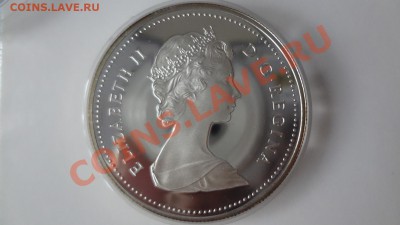 Канада: Ag-500 1$ 1984 ПРУФ Торонто в капсуле до 1.08 22.30м - DSC06031.JPG