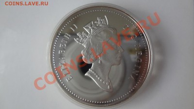 Ag! Канада Доллар Фронтенак 1991г Пруф. Корот 1.08. 22.30мск - DSC06035.JPG
