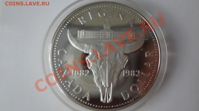 Ag! Доллар Регина1982г Череп. Пруф. Короткий 1.08. 22.30мск - DSC06048.JPG