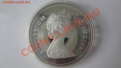 Ag! Доллар Регина1982г Череп. Пруф. Короткий 1.08. 22.30мск - DSC06049.JPG