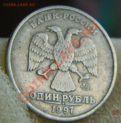 Браки и псевдобраки - DSCN3837.JPG
