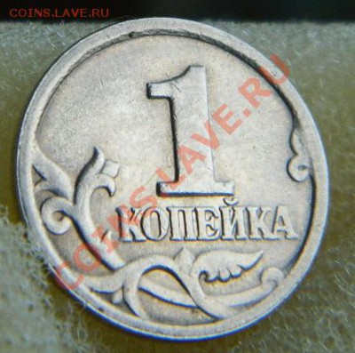 Браки и псевдобраки - DSCN3831.JPG