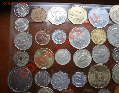 Прошу оценить 100 монет - DSC09855.JPG