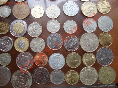 Прошу оценить 100 монет - DSC09857.JPG