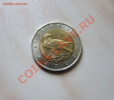 КРАСНАЯ КНИГА 94г. САПСАН.  30.07  21-00 мск - Сапсан_1