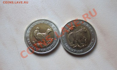 КРАСНАЯ КНИГА 93г. ТЕТЕРЕВ + МЕДВЕДЬ. 30.07 21-30 мск - Тетер_Медв_2