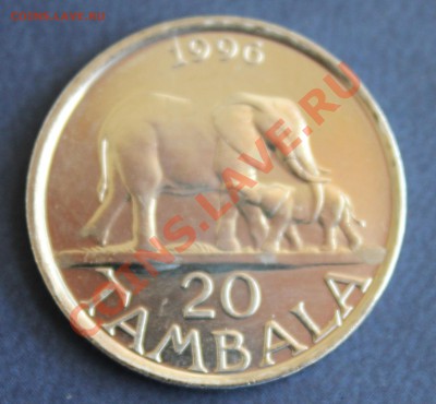 МАЛАВИ 20 тамбала 1996г. СЛОНЫ  до 4.08.2013г. в 22-00 - IMG_6930.JPG