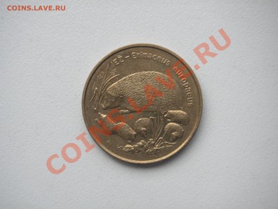 Польша 2 злотых 1996 Ёж ( Ежи ). до 21.00. 01.08. 13 - 007.JPG