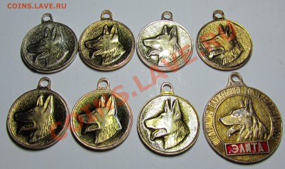 Кинологические жетоны, 25 штук(ДОСААФ-СПБ) 3.08.13 22 мск - 1