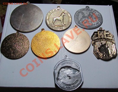 Кинологические жетоны, 25 штук(ДОСААФ-СПБ) 3.08.13 22 мск - 4