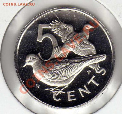 Брит.Вирг.о-ва 5 центов 1977 Голуби 05.08.13 в 22.00 (5789) - img201