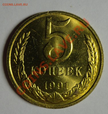 5 копеек 1991 М мешковая - DSC09349.JPG
