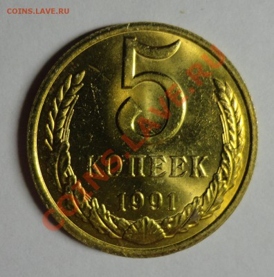5 копеек 1991 М мешковая - DSC09348.JPG