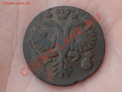 денга 1731 - SDC11973.JPG