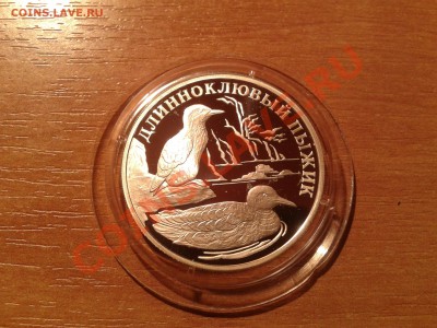1руб. 2005г."Длинноклювый пыжик"до 4 августа (22-00) - 20130730_204831