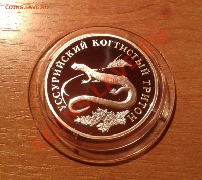 1руб. 2006г."Уссурийский когт. тритон"до 4 августа (22-00) - 20130730_202648