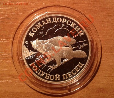 1руб. 2003г."Командорск. голубой песец"до 4 августа (22-00) - 20130730_202933
