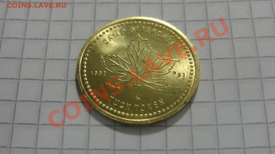 Канада, жетон Ломбардия, Онтарио до 02.08. в 22:30 - DSC06055.JPG