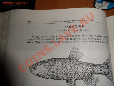 Л.П. Сабанеев Жизнь и ловля пресноводных рыб - SAM_1324.JPG