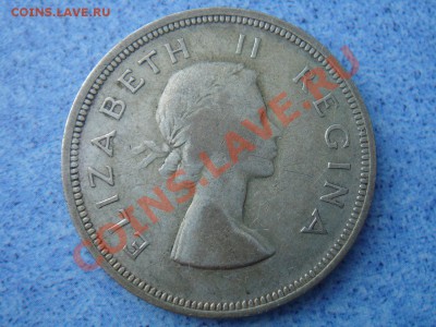 2 кроны 1957 Елизавета 2 до 07.08.13, 22- - ЮАР полукрона 1957-2.JPG