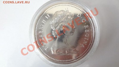 Канада: Ag-500 1$ 1974 UNC Виннипег в капсуле до 4.08 22 - DSC06116.JPG
