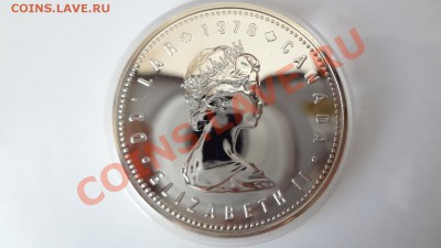 Ag! Доллар Игры Содружества 1978г ПРУФ Капсула 4.08 22.30мск - DSC06118.JPG