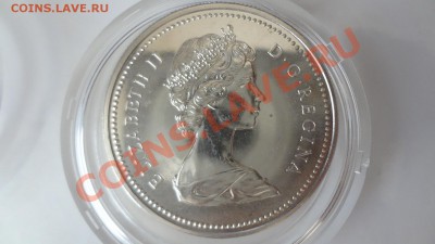 Канада: Ag-500 1$ 1973 Конная Полиция до 4.08.13г 22.30мск - DSC06120.JPG