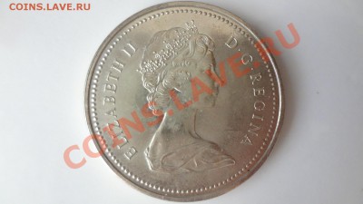 Канада Ag-500 1$ 1976г БИБЛИОТЕКА до 4.08.13г 22.30мск - DSC06122.JPG