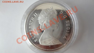 Ag! Доллар Пруф Молотобойцы 1988г До 4.08.13г 22.30мск - DSC06124.JPG