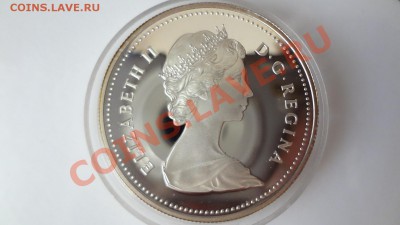 Канада: Ag-500 1$ 1984 ПРУФ Торонто в капсуле до 4.08 22.30м - DSC06126.JPG