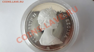 Ag! Доллар Канада. Ванкувер ПРУФ1986г Корот 4.08 22.30мск - DSC06130.JPG