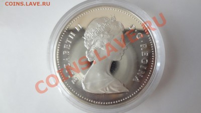 Ag! Канада Доллар Эдмонт 1983гПРУФ Корот 4.08.13г 22.30мск - DSC06136.JPG